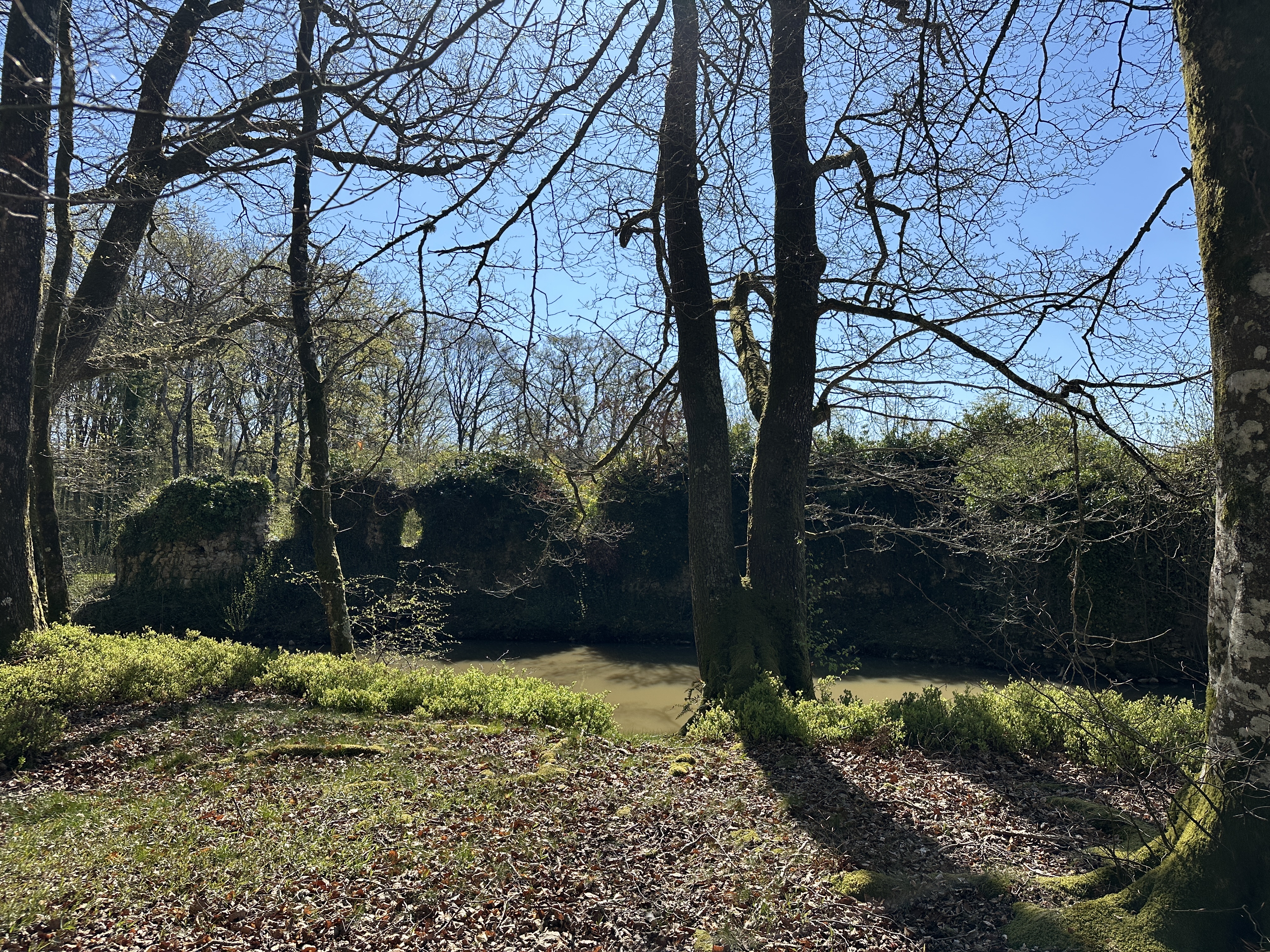 Le Vieux Château des Deffays