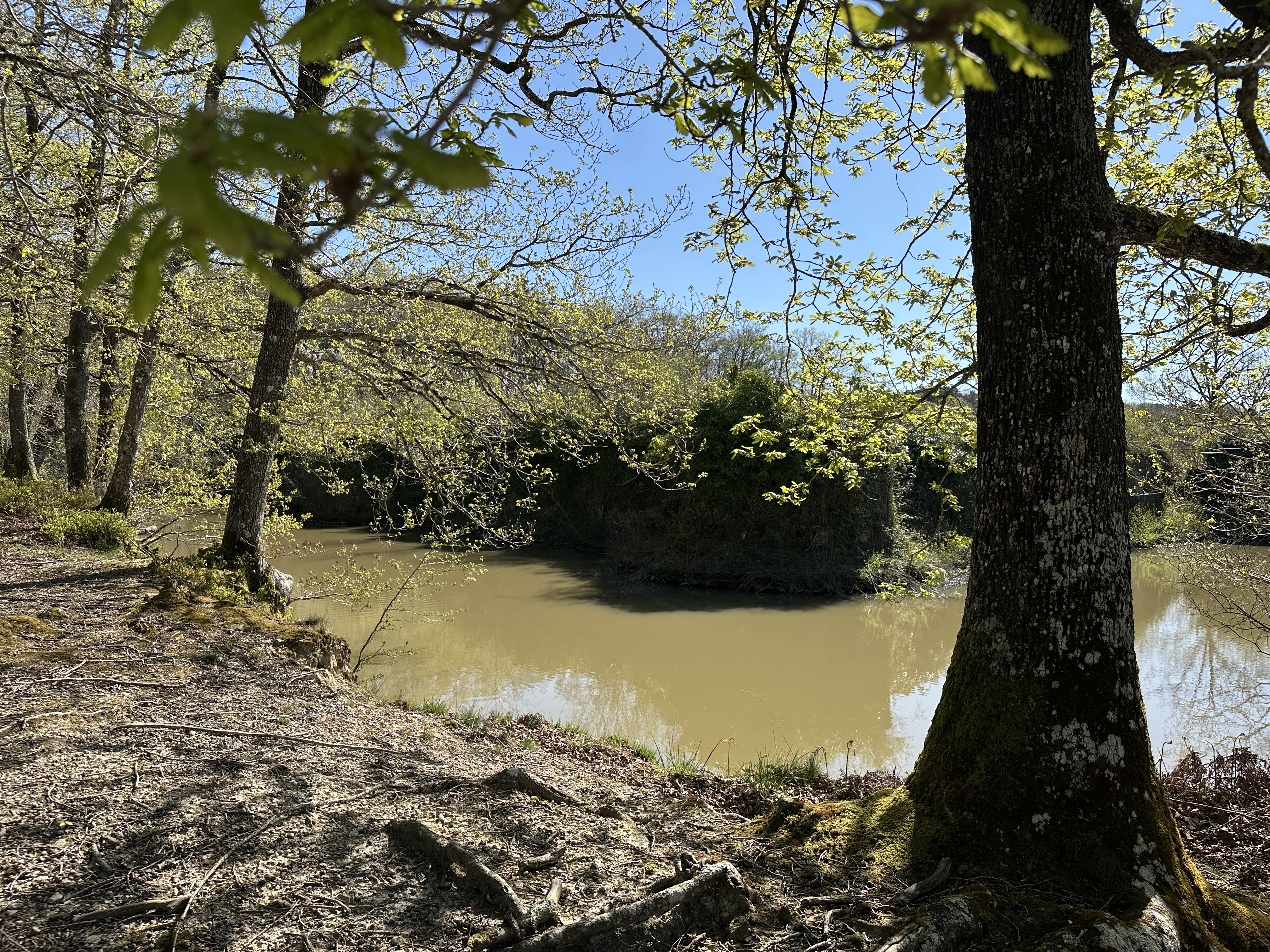 Le Vieux Château des Deffays