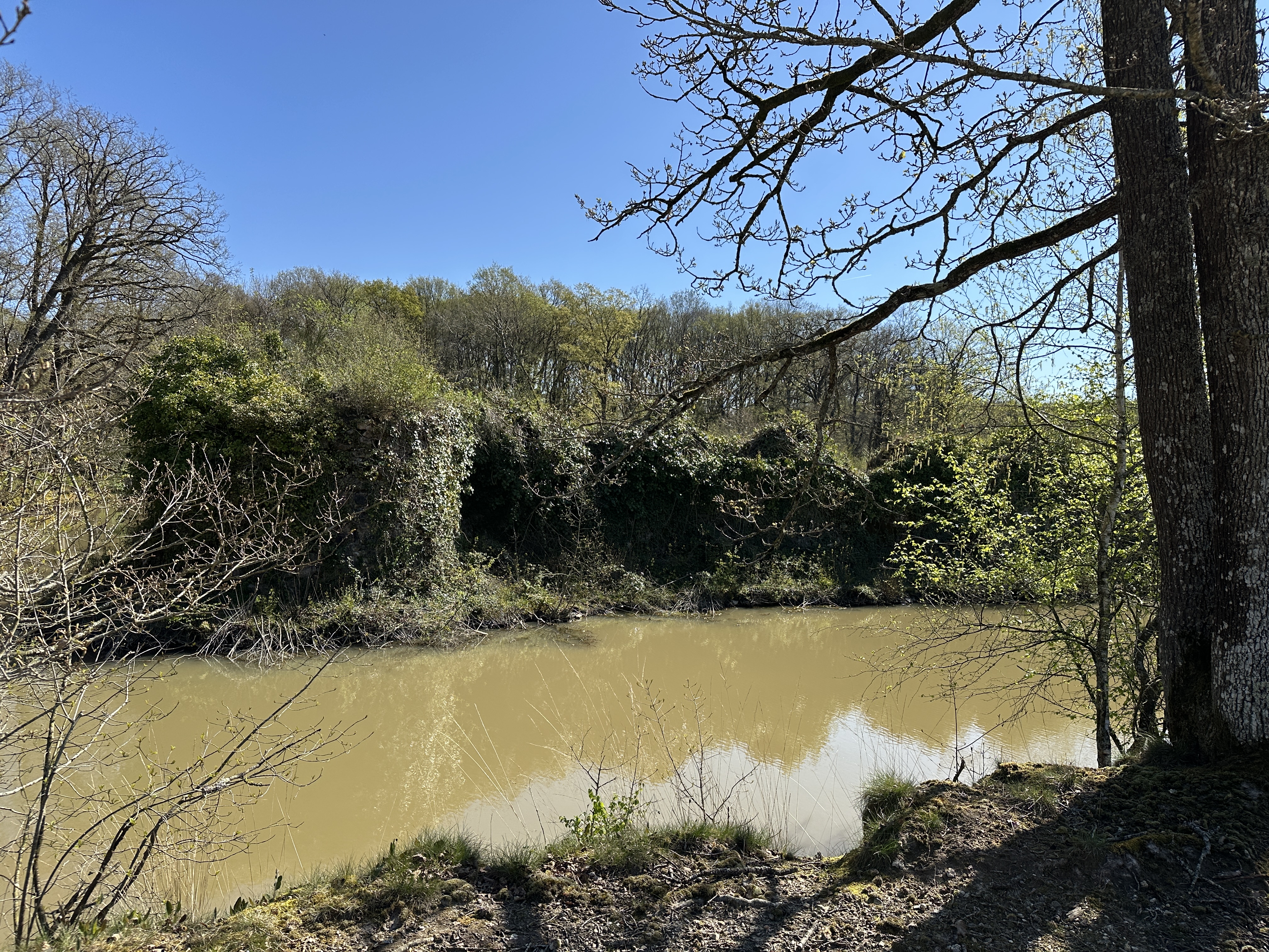 Le Vieux Château des Deffays