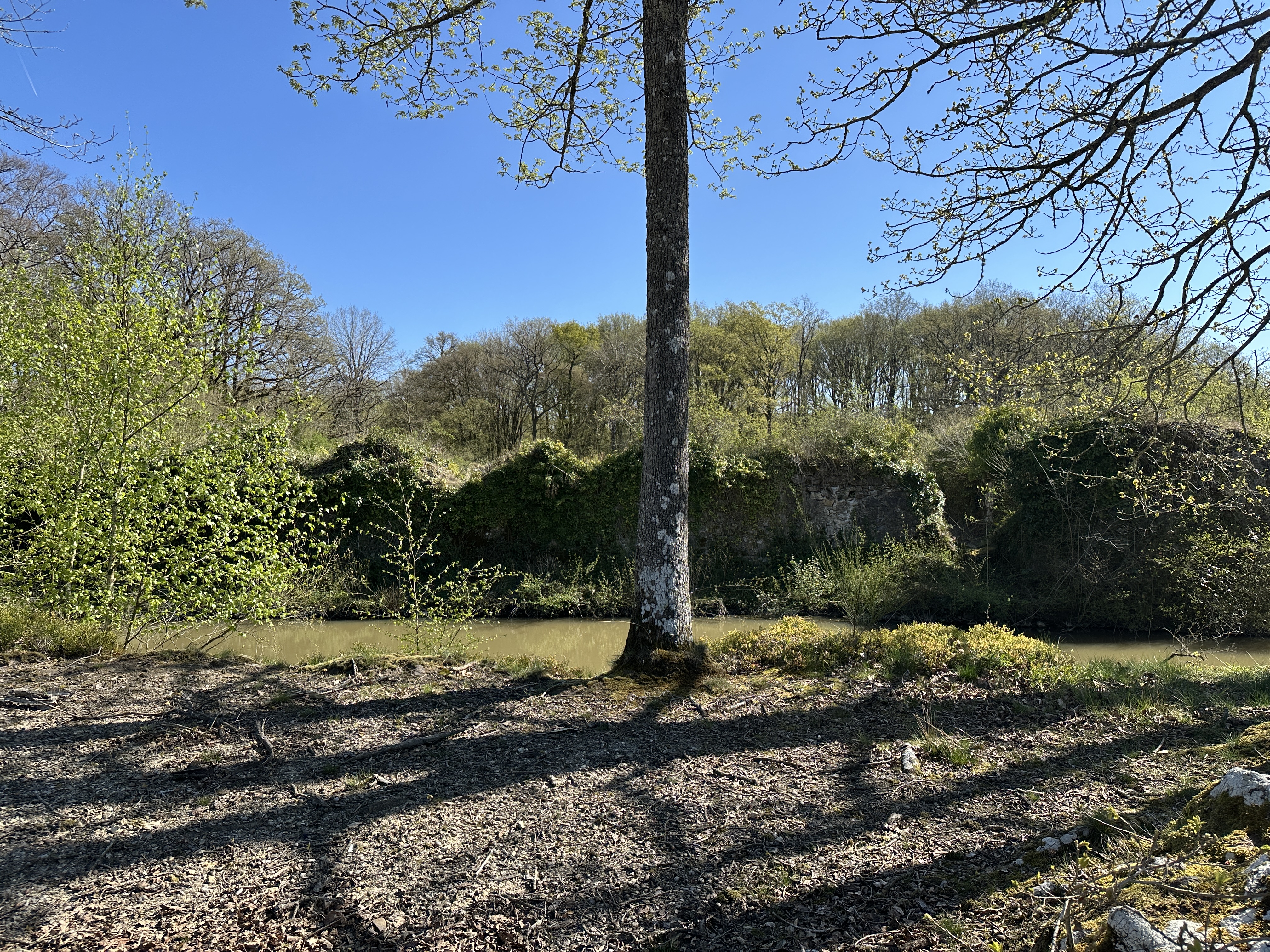 Le Vieux Château des Deffays